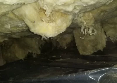 Affordable Commercial Metal Building Insulation