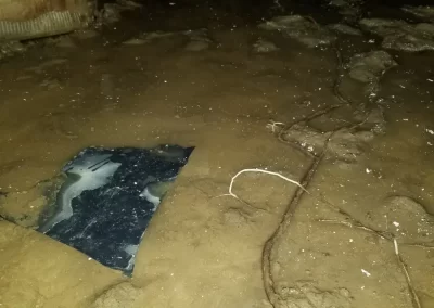 Affordable Insulation Contractors (2)