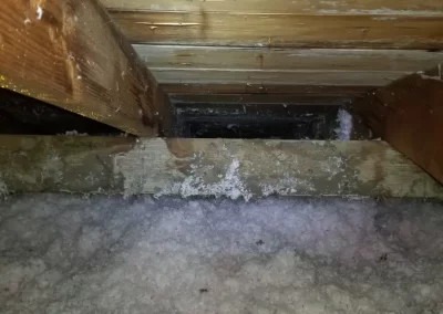 Quality Residential Insulation (1)